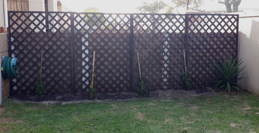 1.2 Trellis Garden After