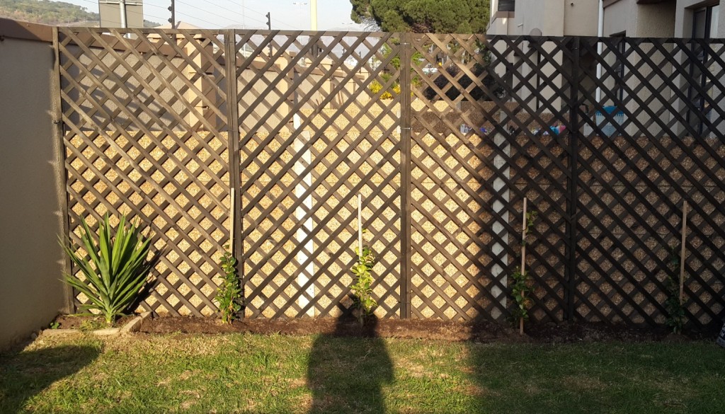 2.2 Trellis Garden After